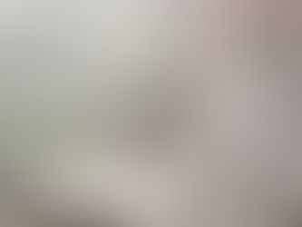 The 6-Step process: How to rejuvenate and maintain landscapes using the Syntropic Sylvaflux Technique