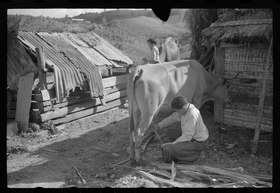 service-pnp-fsa-8a37000-8a37500-8a37564v.jpeg