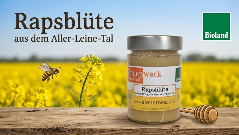 Miniaturbild: Honigglas Rapsblüte in einem sonnigen Rapsfeld mit gelben Blüten im Hintergrund