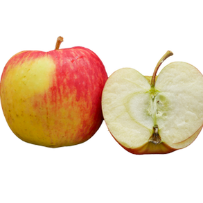 Apfel, halber Apfel, gelb-grün, Deljonka