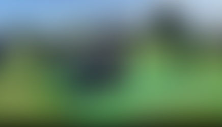 Abschnittsbewerbe Mank in St. Leonhard/Forst