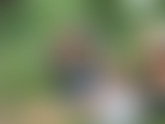 Tierrettung in Siegendorf