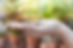 imgi_231_coins-hands-saving-donation-investment-fund-financial-support-charity-dividend-ma