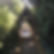 IMG_2658.jpeg