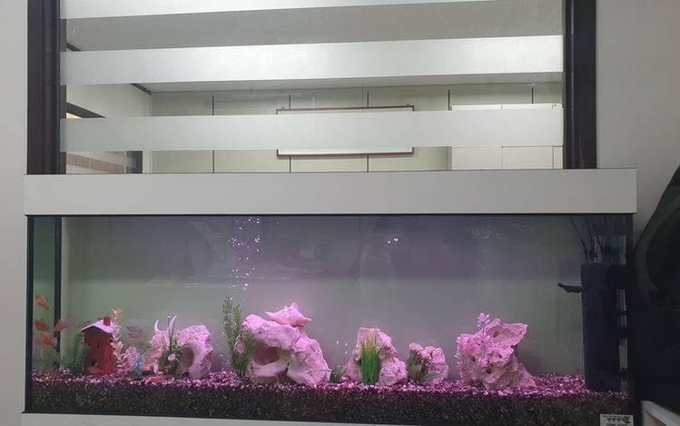 법무법인 자스티스.jpg