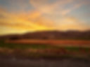 IMG_2291.jpeg