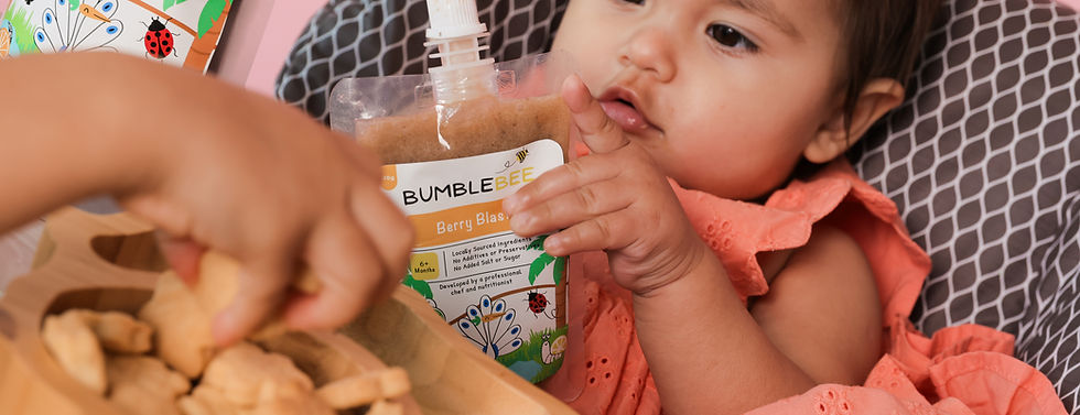 baby food puree healthy