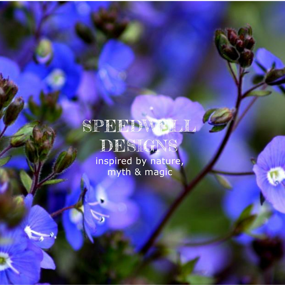 www.speedwellnature.co.uk/silver jewellery