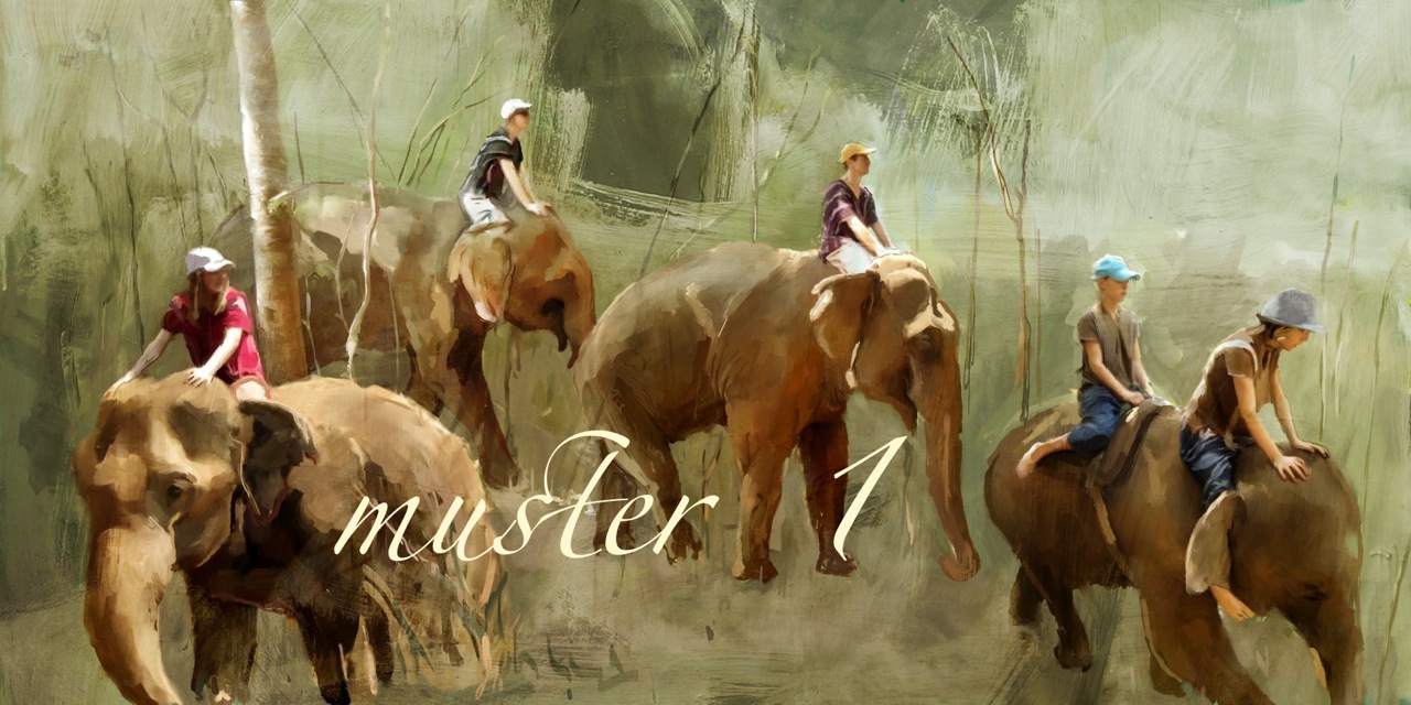 Safar1 Muster 1