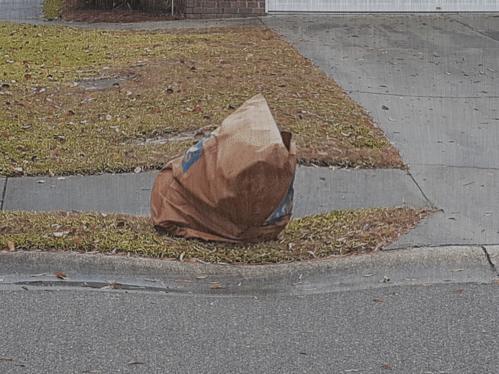 No more paper lawn bags!