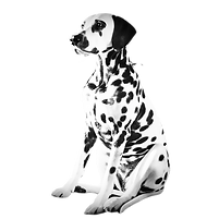 Design ohne Titel (4)_edited_edited_edit