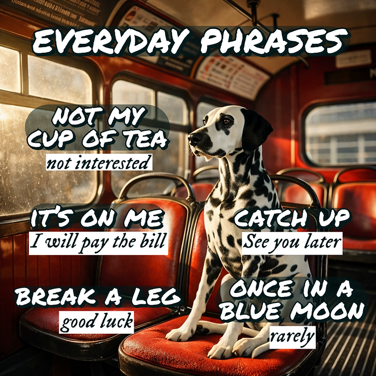 ☕ Lerne 6 typische englische Phrasen für den Alltag & Beruf! ✨📚  Mit diesen Redewendungen klingst du natürlicher & souveräner in Gesprächen! 🚀🗣️  ✅ 1. Not my cup of tea – nicht mein Ding 🚫 📌 "Horror movies are not my cup of tea." (= Horrorfilme sind nicht mein Ding.)  ✅ 2. It’s on me – ich zahle 💳 📌 "Let’s go for coffee – it’s on me!" (= Lass uns Kaffee trinken, ich zahle!)  ✅ 3. Once in a blue moon – sehr selten 🌙 📌 "I go to the cinema once in a blue moon." (= Ich gehe nur sehr selten ins Kino.)  ✅ 4. Break a leg – Viel Glück! 🍀 📌 "You have an audition? Break a leg!" (= Du hast ein Vorsprechen? Viel Glück!)  ✅ 5. Spill the beans – ein Geheimnis verraten 🤫 📌 "Come on, spill the beans – what happened?" (= Los, verrat es mir – was ist passiert?)  ✅ 6. Under the weather – sich nicht gut fühlen 🤒 📌 "I’m feeling a bit under the weather today." (= Ich fühle mich heute nicht ganz fit.)  Mit diesen Phrasen bringst du Abwechslung & Ausdrucksstärke in dein Englisch! 🎯  📌 