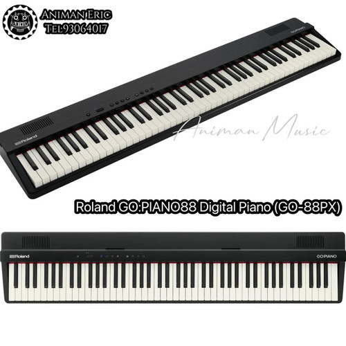 Roland GO:PIANO88 Digital Piano (GO-88PX) | Animan Music