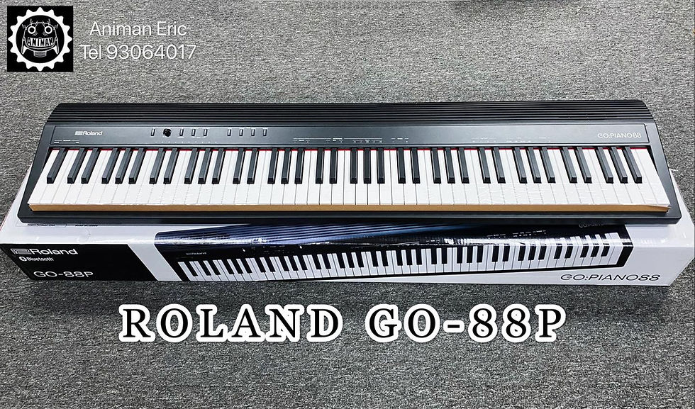 Roland GO-88P