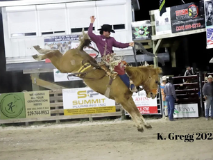 Saddle Up: Discovering the Lee County Posse Arena