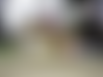 Saddle Up: Discovering the Lee County Posse Arena