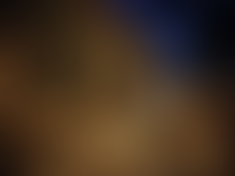 Glowing History: The Caloosahatchee Manuscripts