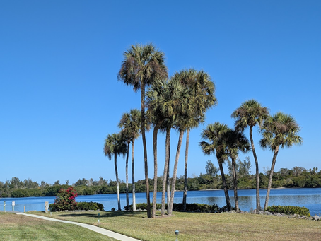 Making the Most of Your Waterfront Stay