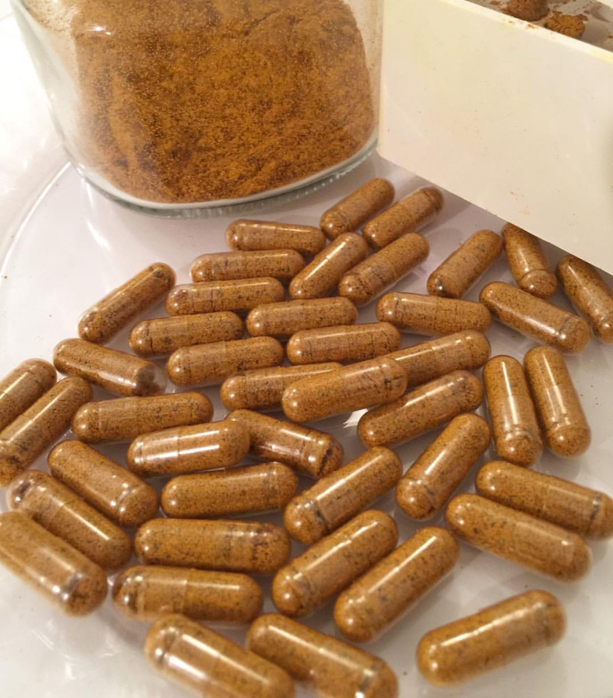 Full Body Support Supplement