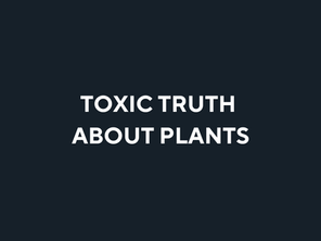 Carnivore Diet Austin: Why Ditching Plants Boosts Health