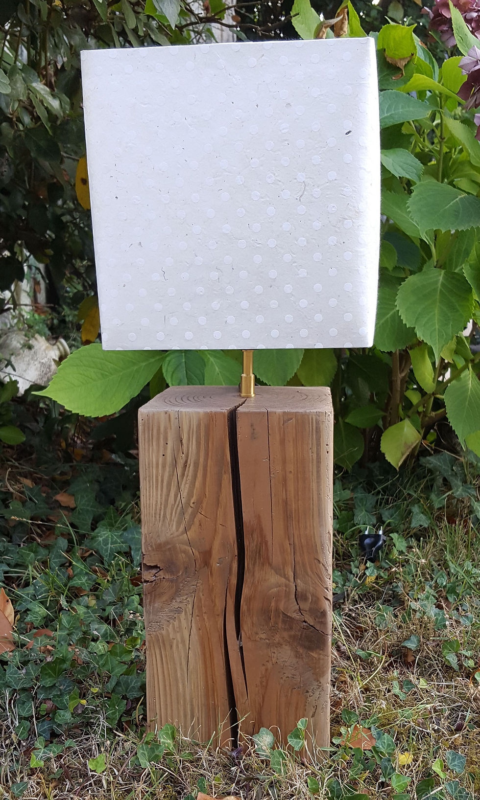 lampe M