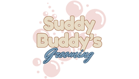 Suddy Buddy's Banner Vector transparent no paw filled bubble.png