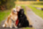 Saratoga Springs Photographer