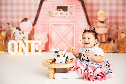 Ballston Spa Glens Falls Saratoga Springs Albany Schenectady Cake Smash Milestone Baby Photographer