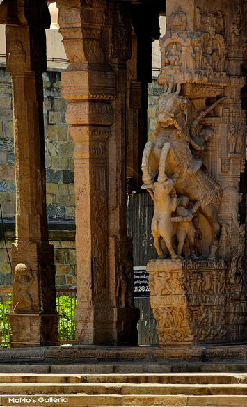 MoMo's Galleria - Architecture