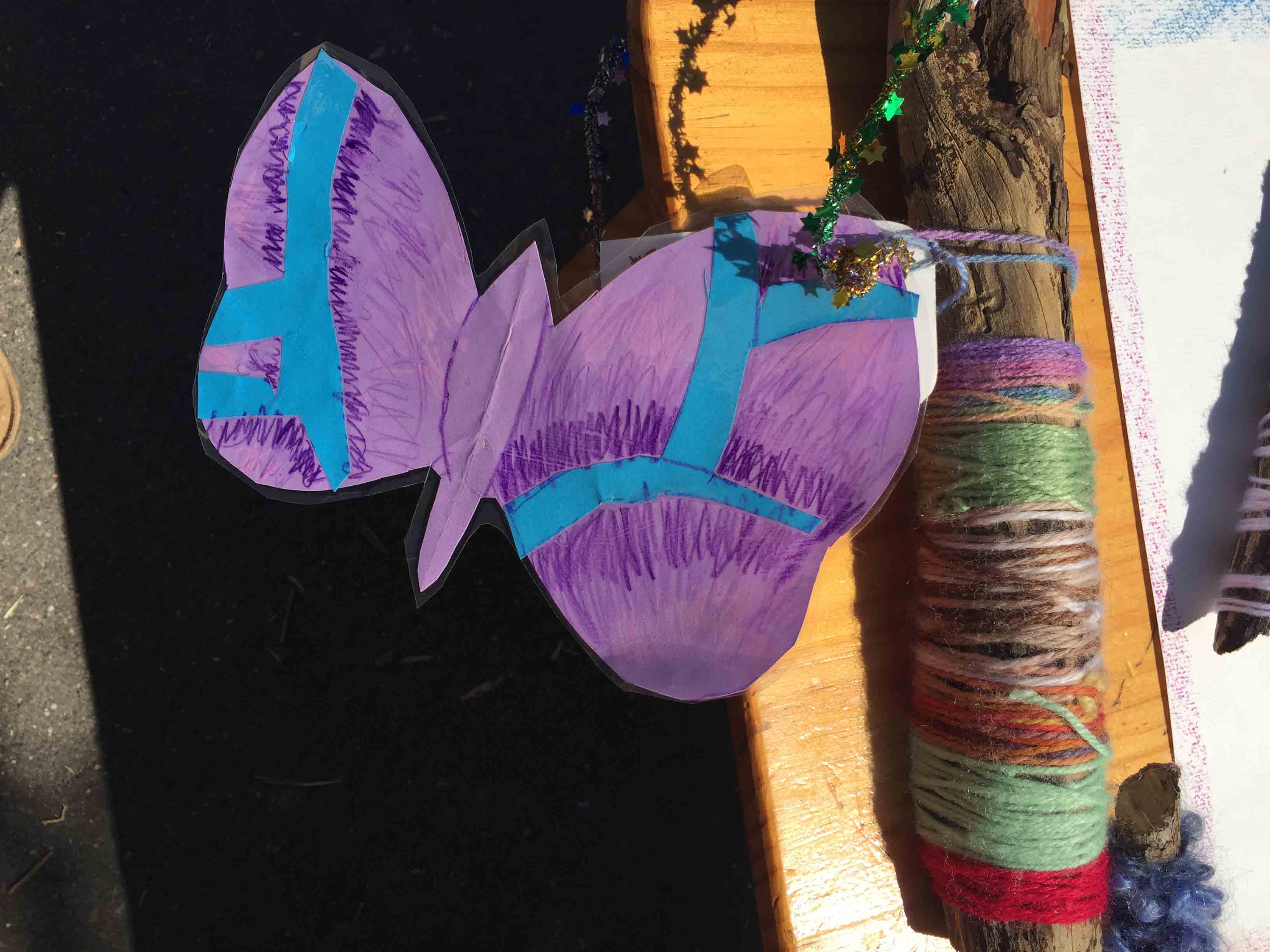 Butterfly
