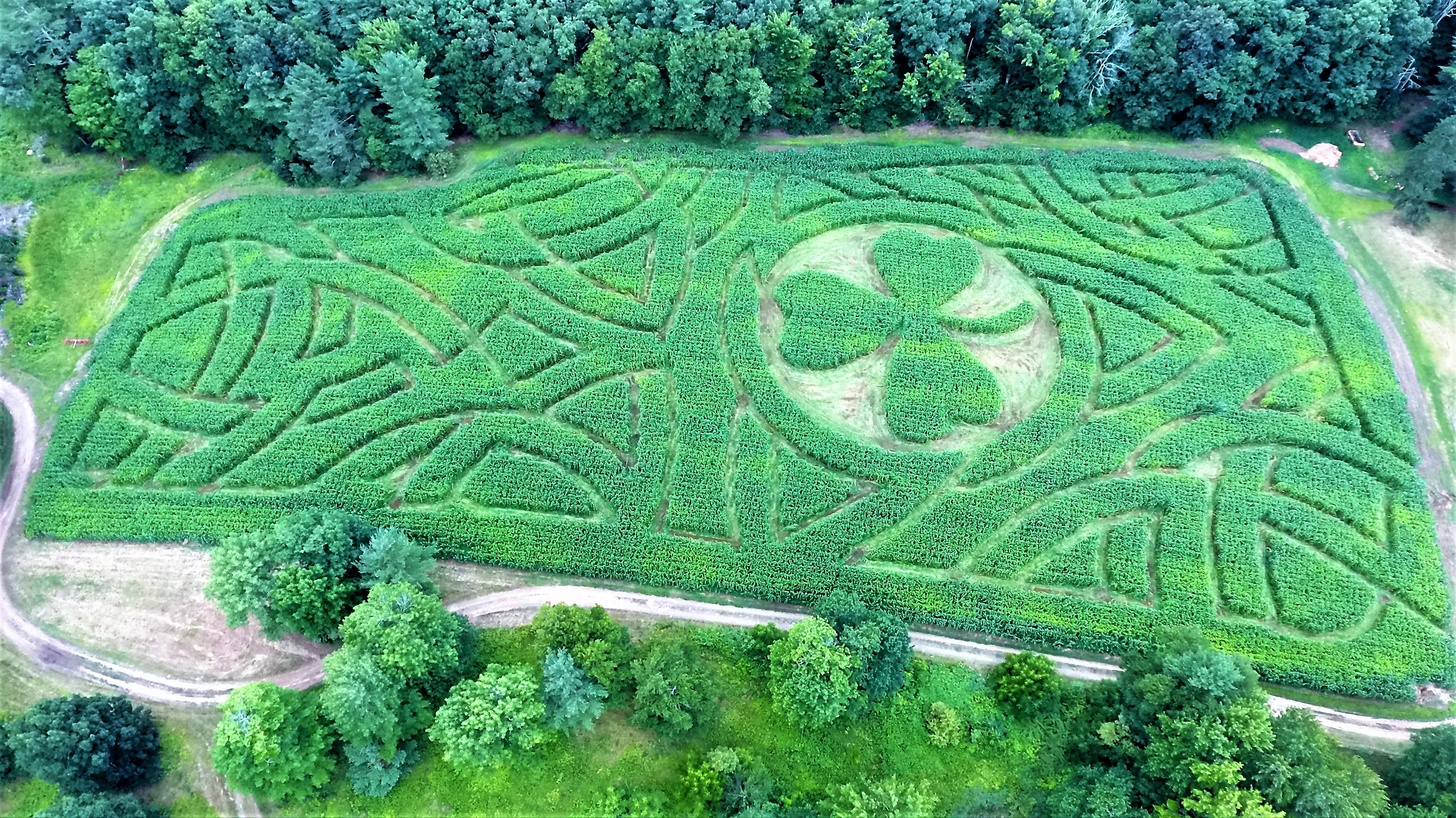 corn-maze-southern-nh-united-states-coppal-house-farm