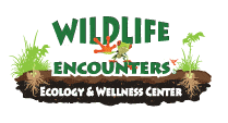 Wildlife Encounters Logo.gif