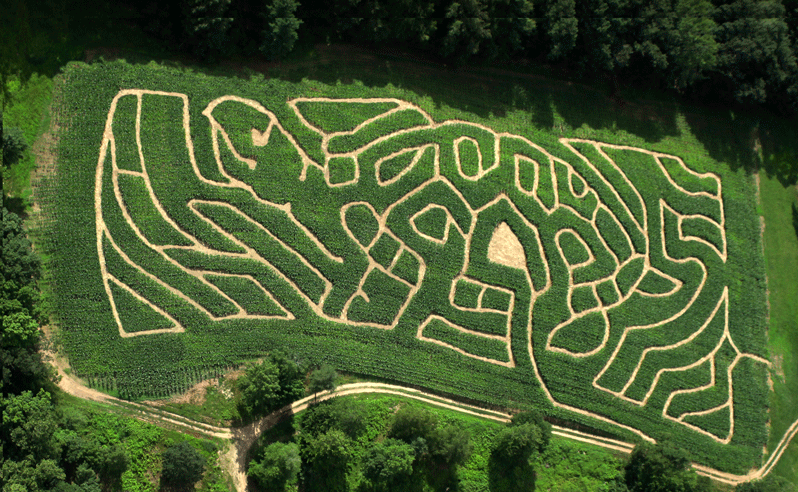 coppalhousefarm2011turtlemaze.gif