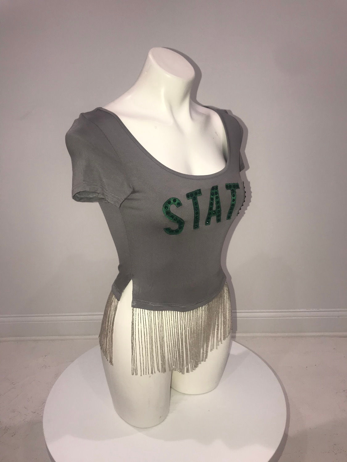 MICHIGAN STATE, S/S Crop T-Shirt, Swarovski Crystals, Beaded Silver Fringe