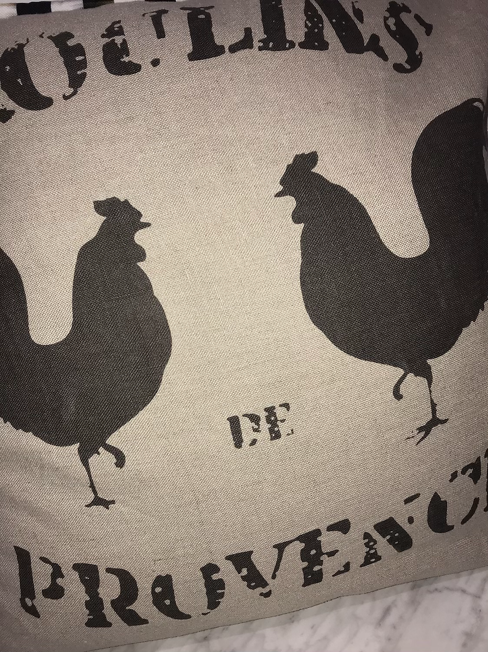 Thumbnail: Chickens Moulins De Provence Down Feather Throw Pillow
