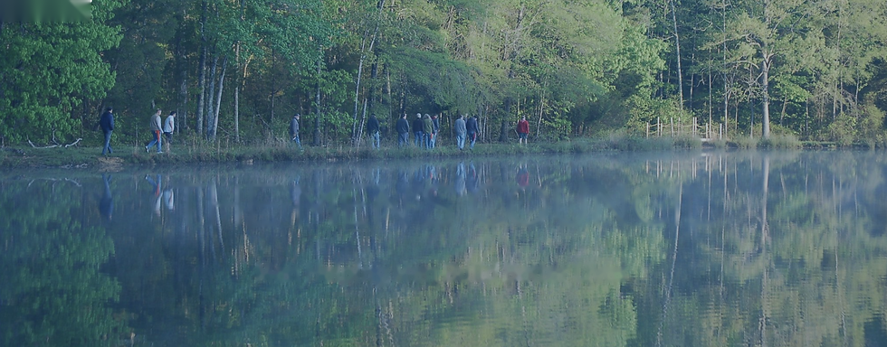 People walking along a misty lake with forest reflections.