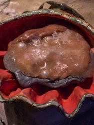 Palpable 2.0 (detail)