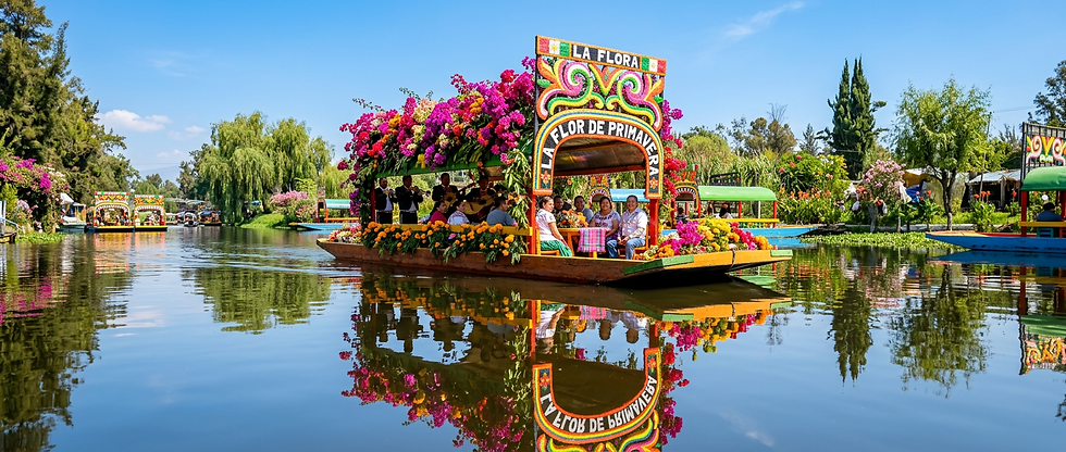 xochimilcoviptour.png