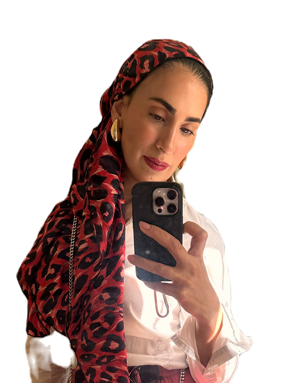 תמונה ממוזערת: מנומר בורדו