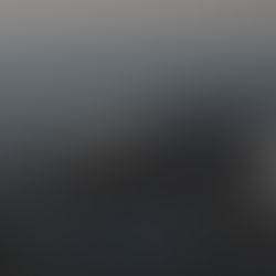 Emergency Management in the Military: Levels, Requirements, Benefits, and Challenges