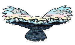 OWL soar Colored sunset Jan 2024_edited