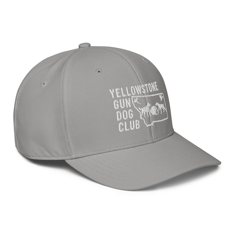 Thumbnail: White Logo adidas performance cap