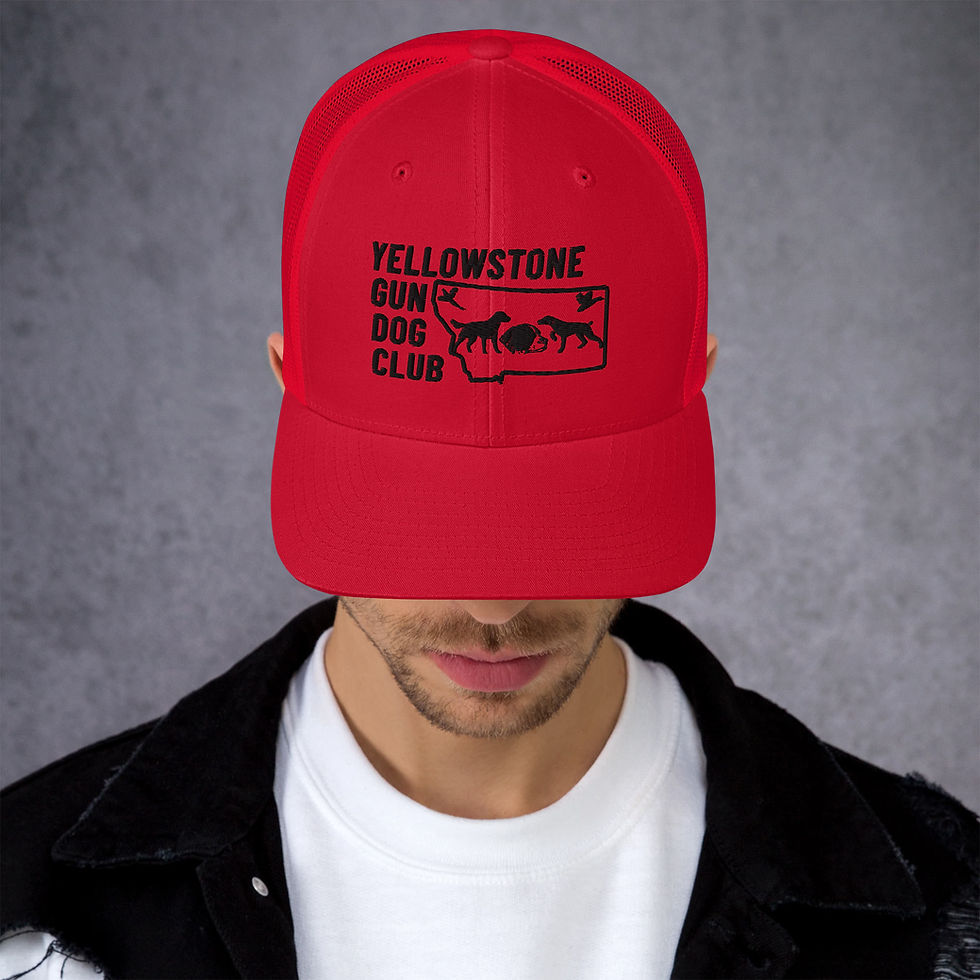 Thumbnail: Black Logo Trucker Cap