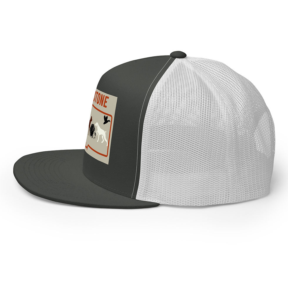Thumbnail: Full Color Logo Trucker Cap