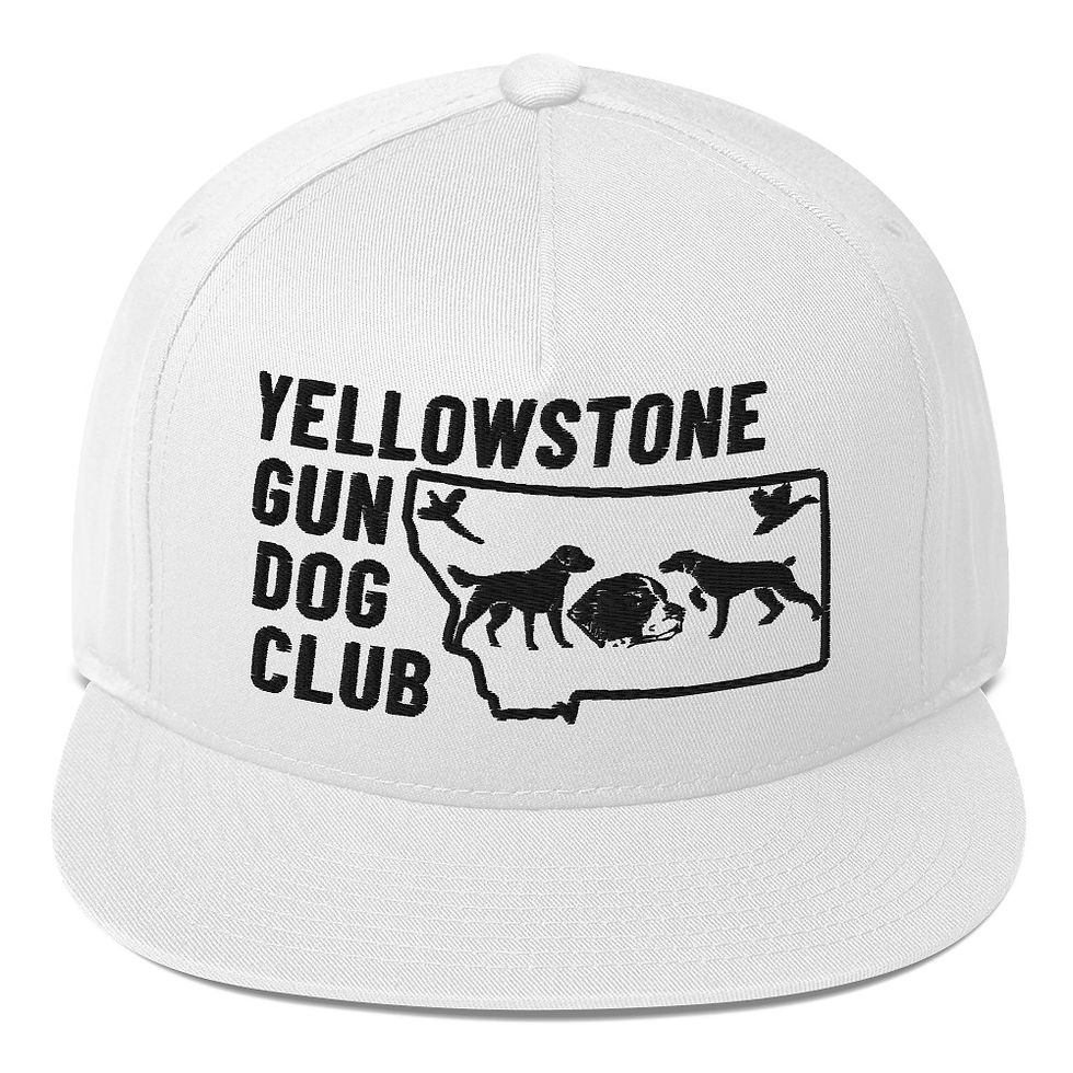Thumbnail: Black Logo Flat Bill Cap