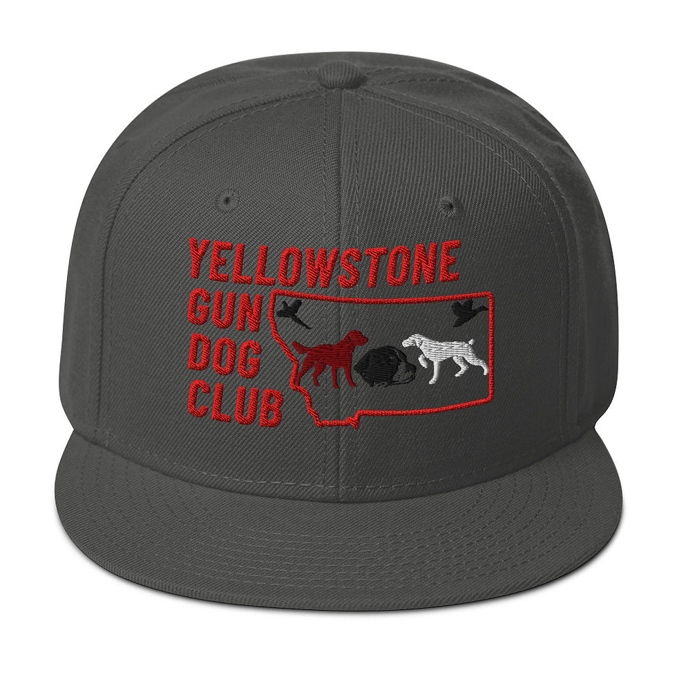 Thumbnail: Color Logo Snapback Hat