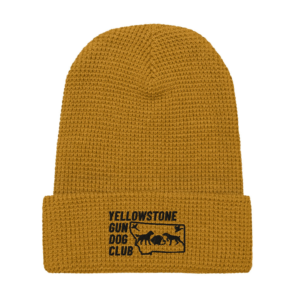 Thumbnail: Black Logo Waffle beanie