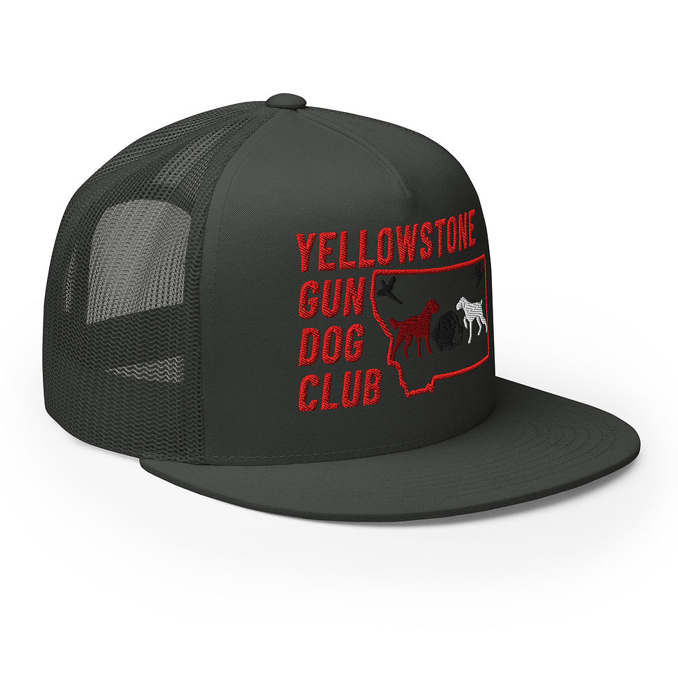 Thumbnail: Color Logo Trucker Cap