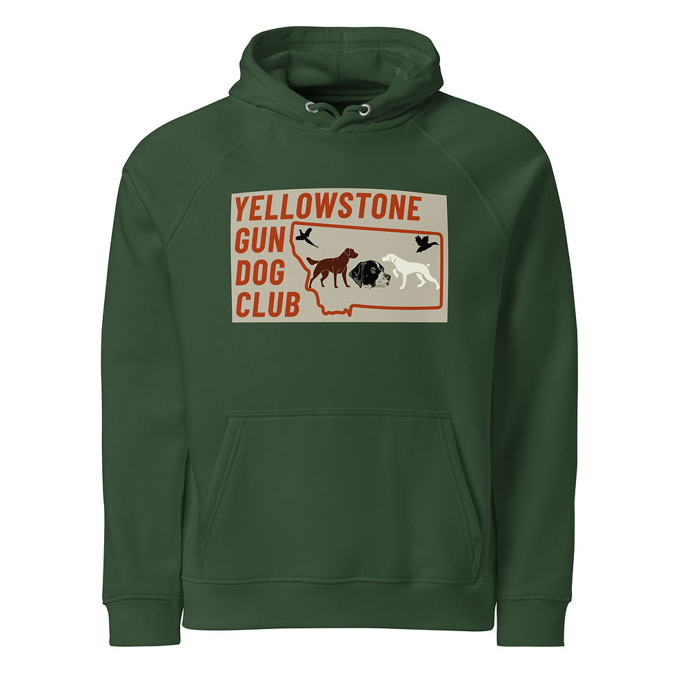 Thumbnail: Full Color Logo Unisex eco raglan hoodie