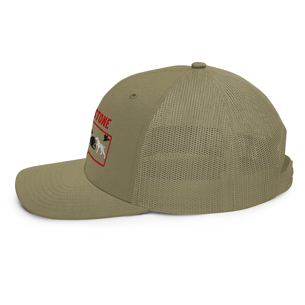Thumbnail: Logo Trucker Cap Richardson 112